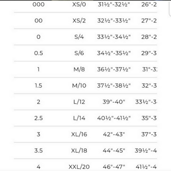 CHICO'S - Picture 8 of 9